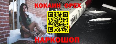 jwh Кингисепп