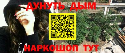 jwh Кингисепп