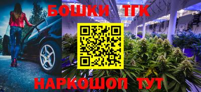 jwh Кингисепп