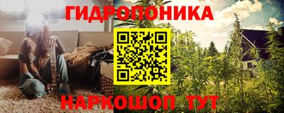 стафф Кинель