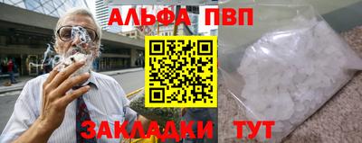 jwh Кингисепп