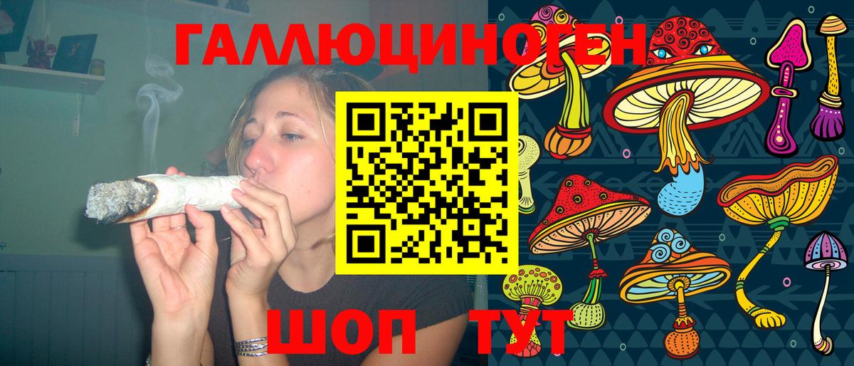 Псилоцибиновые грибы Psilocybine cubensis  Вход с VPN  Аксай  Псилоцибиновые грибы Cubensis 